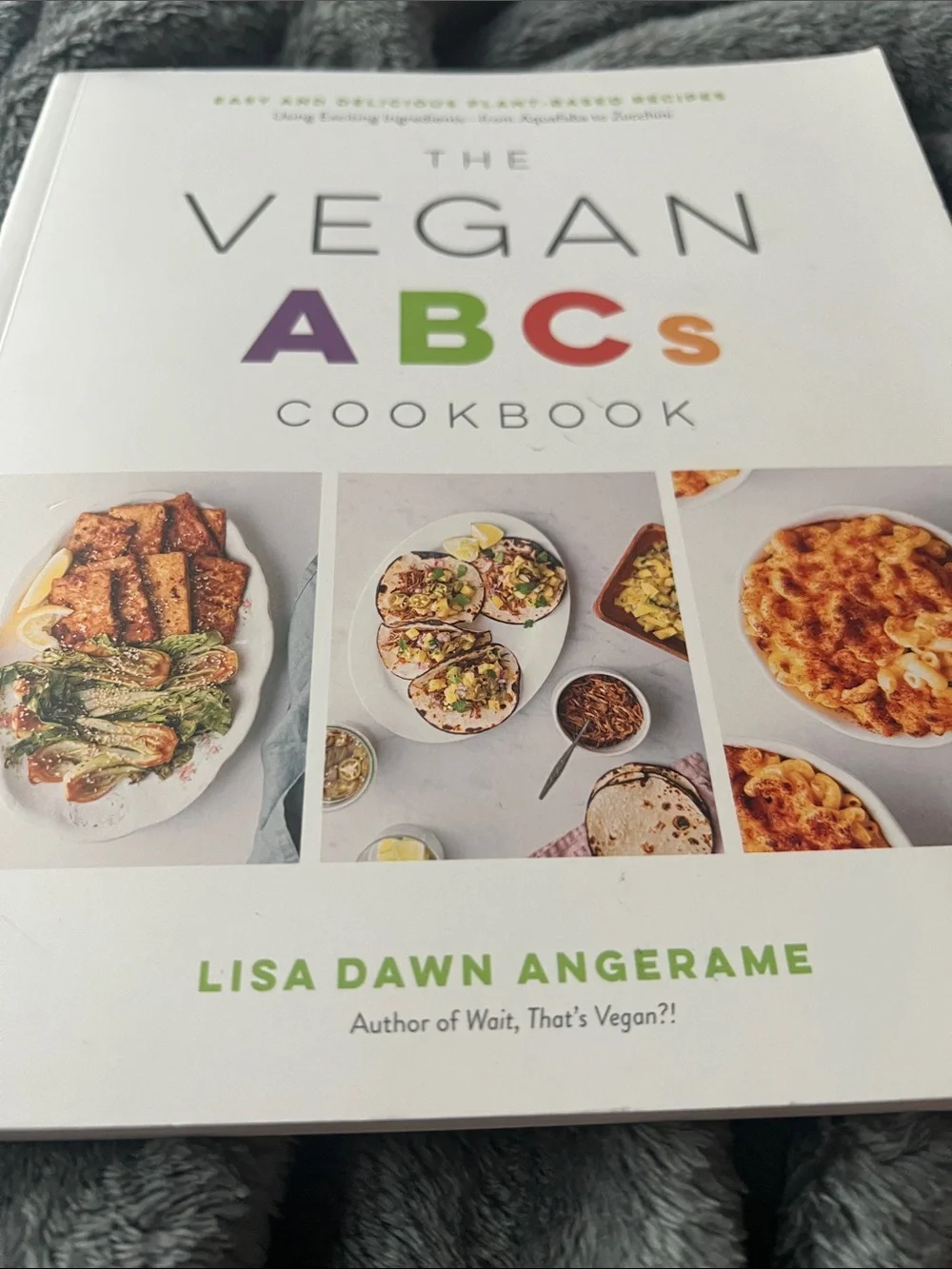 Vegan cookbook
